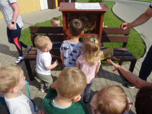 Dzieci oglądają pszczoły w ulu