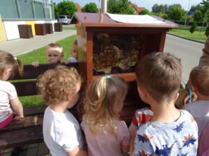 Dzieci pzyglądają się z bliska pszczołom