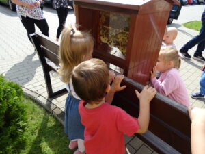 Dzieci podziwiają pracę pszczół