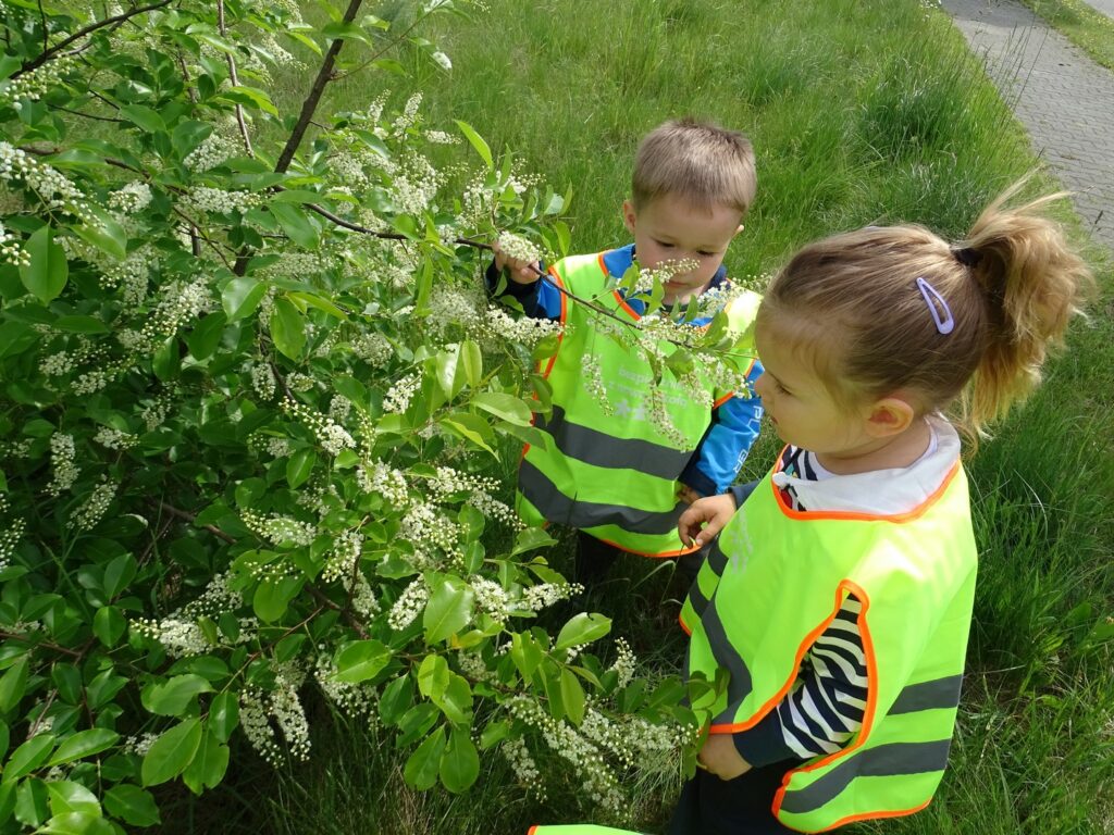 Dziewczynka wącha kwiatuszki