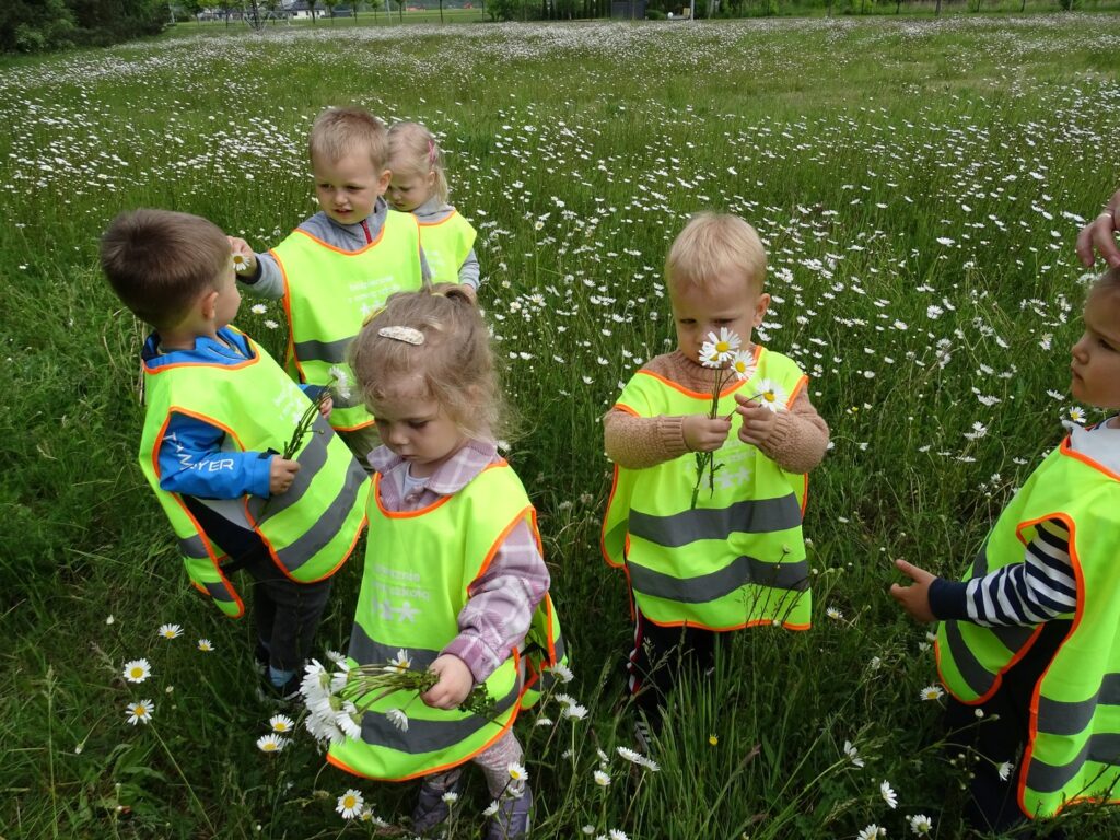 Dzieci na łące