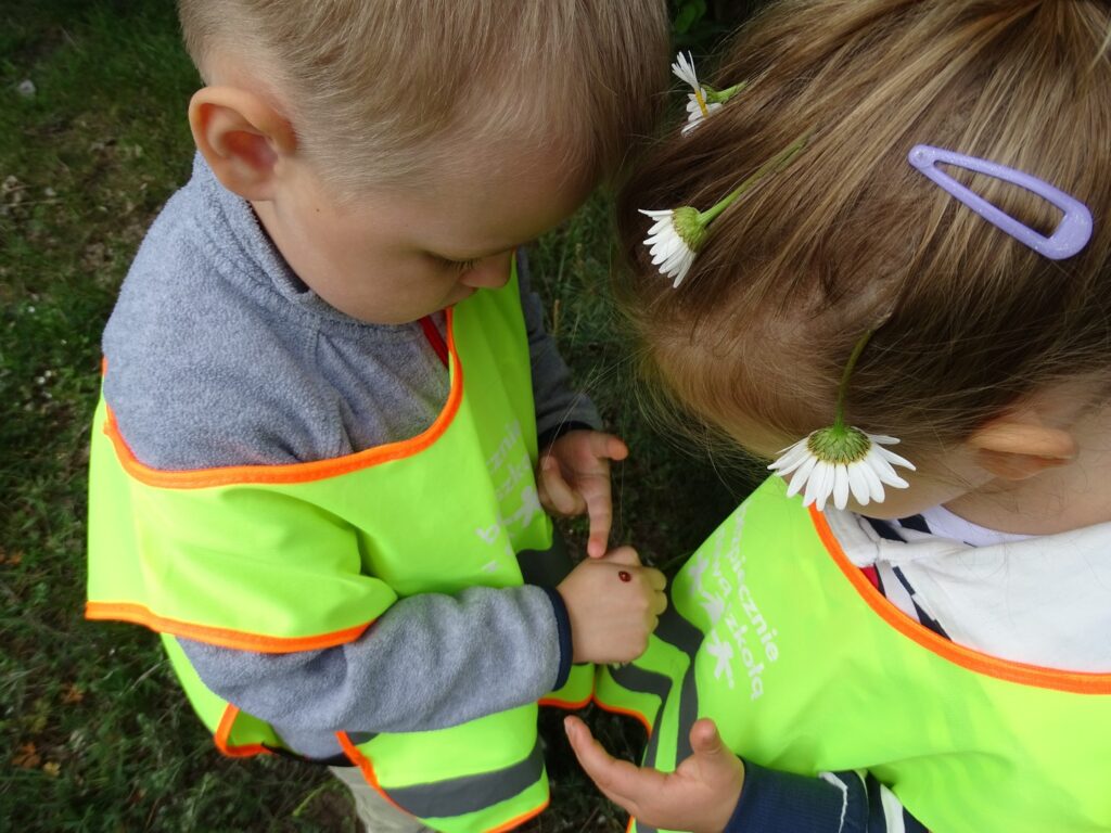 Chłopczyk pokazuje biedronkę