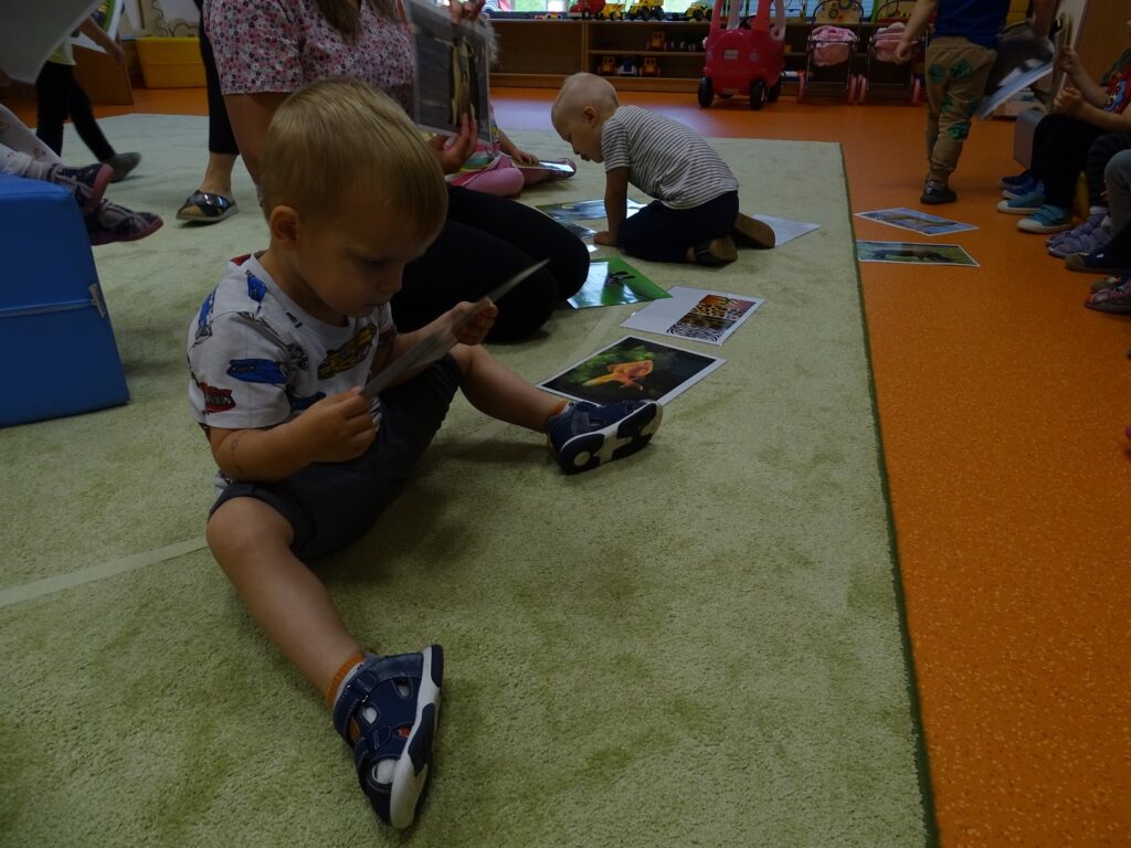 Chłopiec patrzy na obrazek