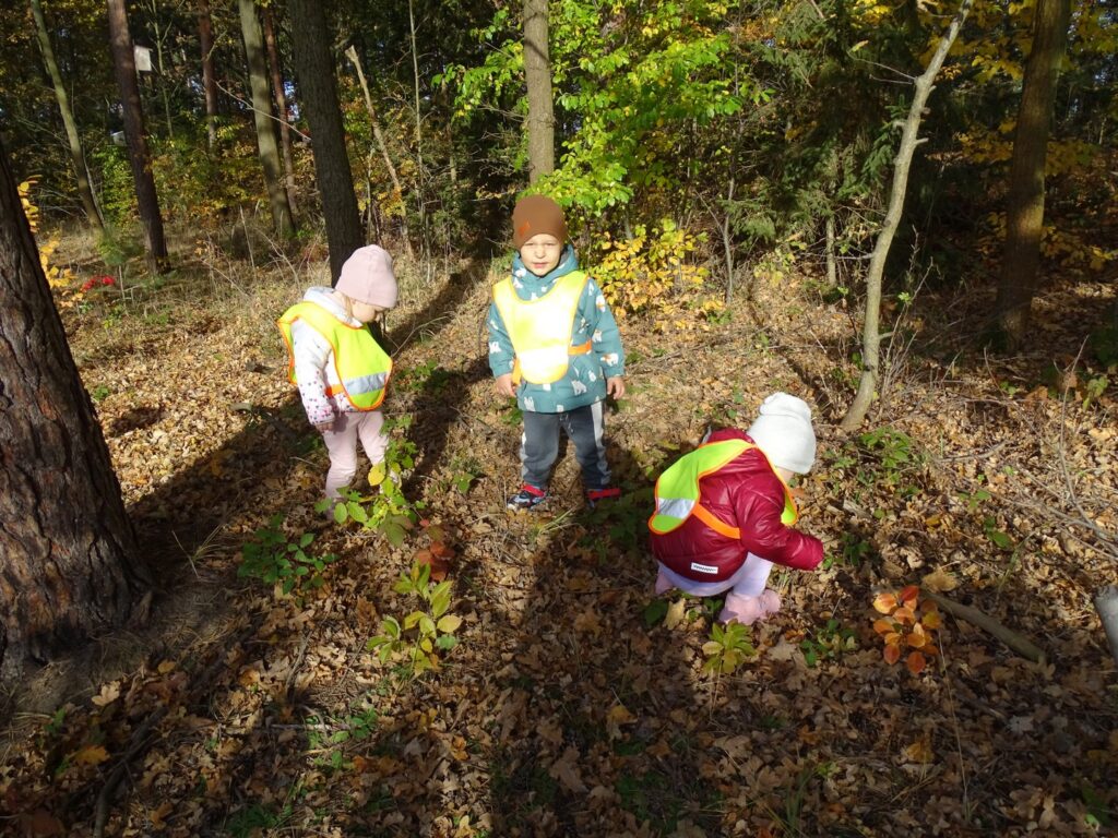 Dzieci szukają grzybków