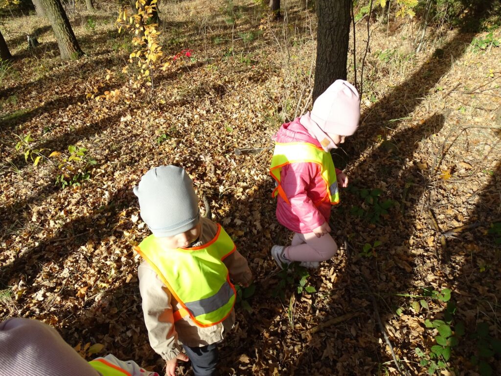 Dzieci spacerują po lesie