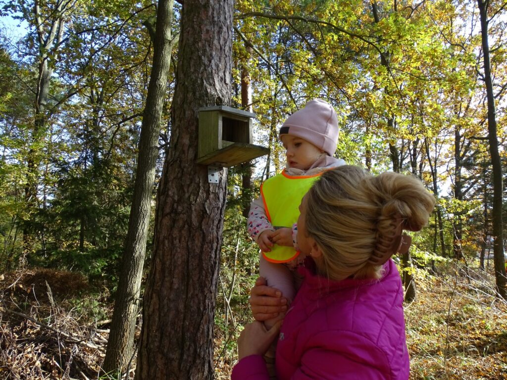 Dziewczynka ogląda budkę