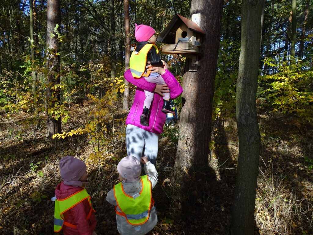 Dziecko zagląda do budki dla ptaków