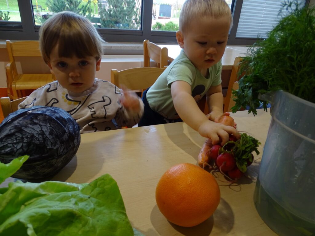 Chłopiec sięga po rzodkiewkę