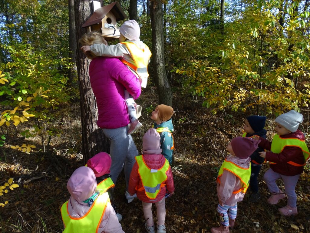 Dzieci oglądają karmnik