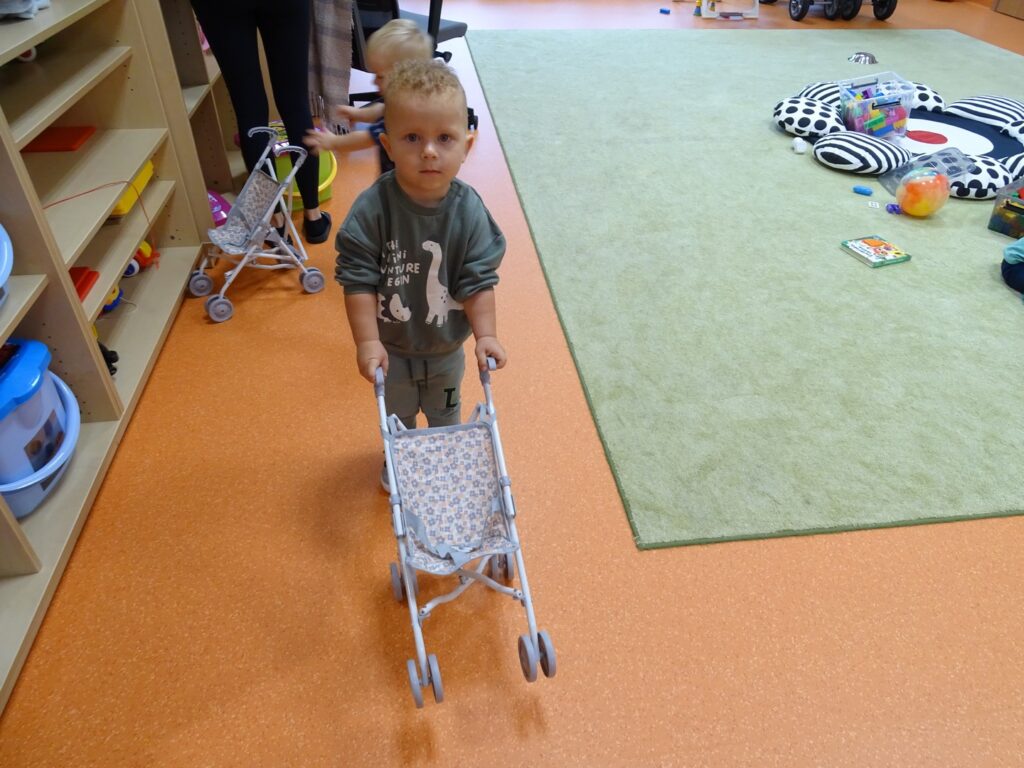 Chłopiec prowadzi wózek