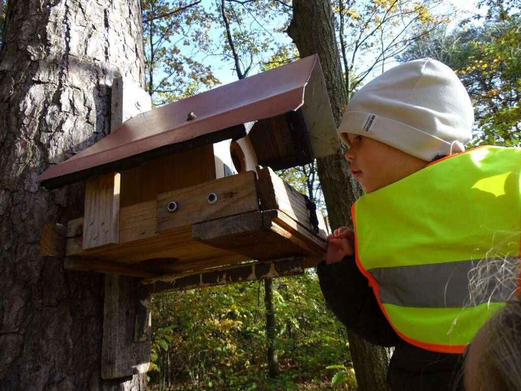 Chłopczyk zagląda do ptasiej budki