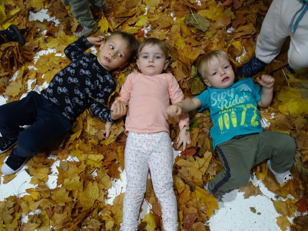 Dzieci leżą w liściach