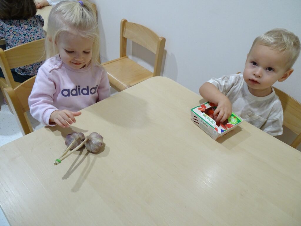 Dziewczynka ogląda czosnek
