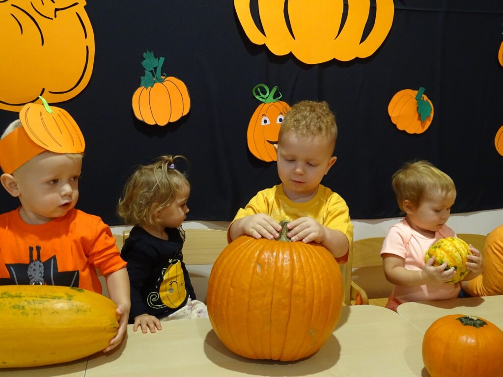 Chłopczyk trzyma dynię