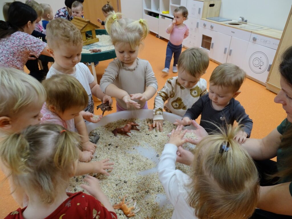 Sensoryka z nasionami