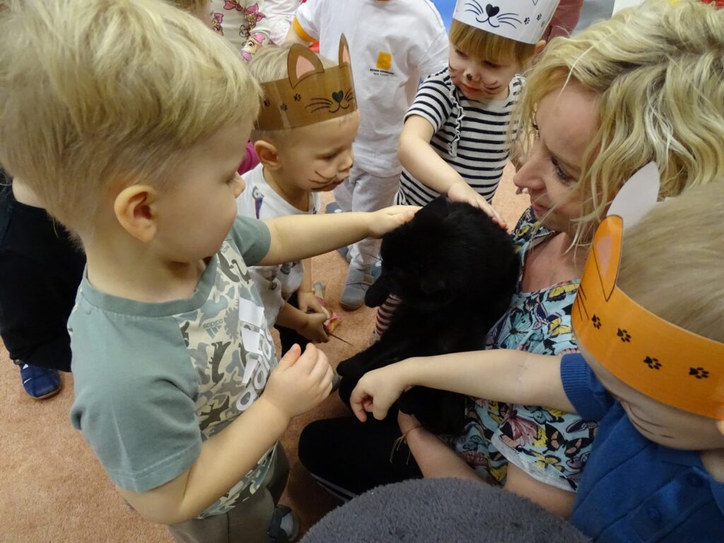 Chłopczyk głaszcze kotka