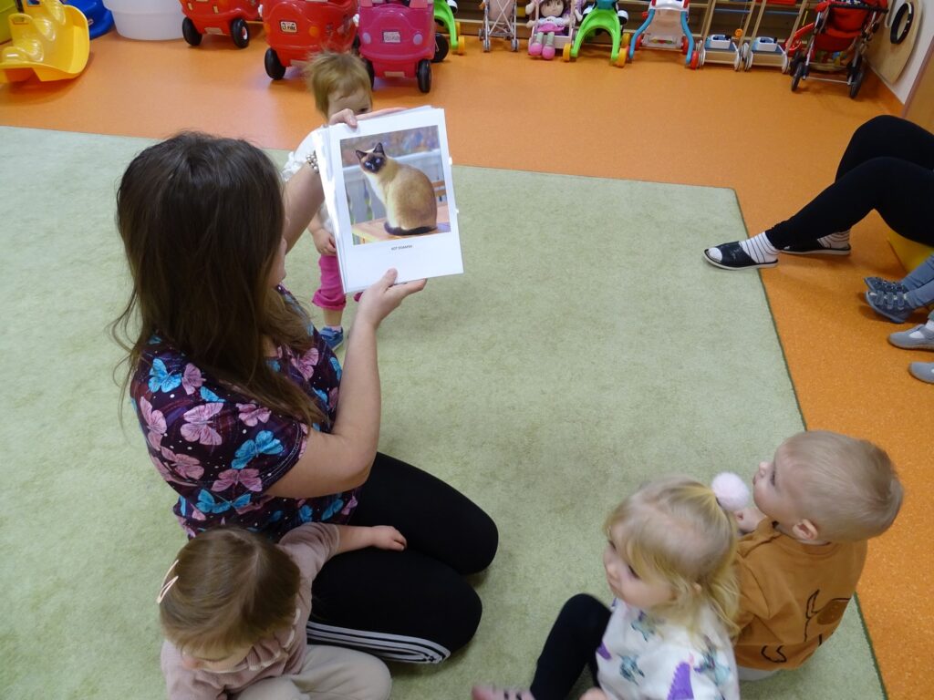 Opiekun pokazuje zdjęcie kota