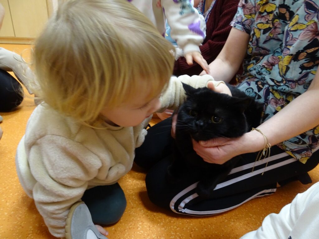 Dziewczynka głaszcze kotka