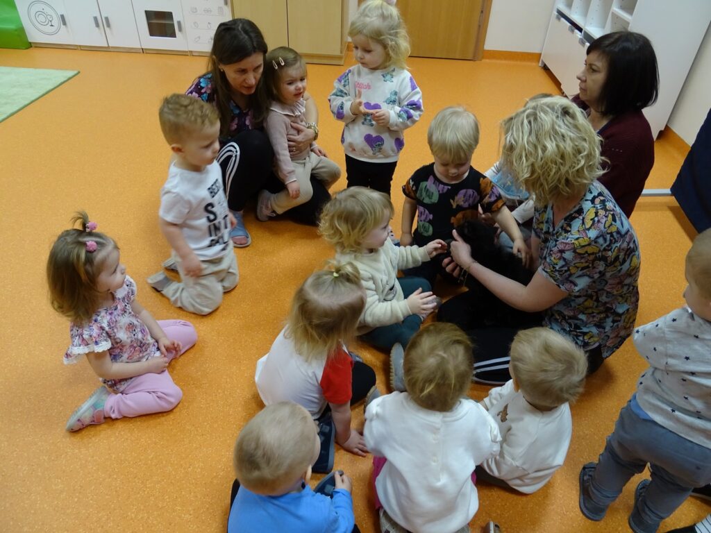 Wspólne oglądanie kotka