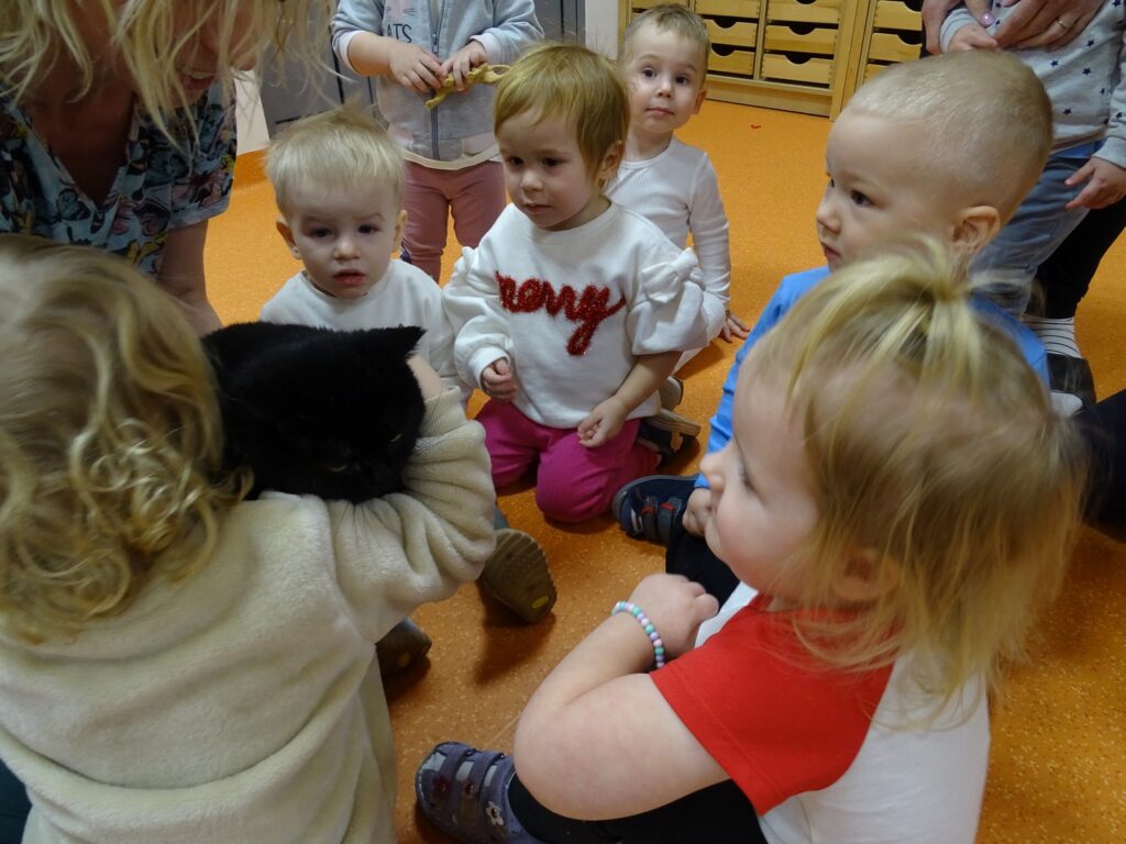 Dziewczynka przytula kota