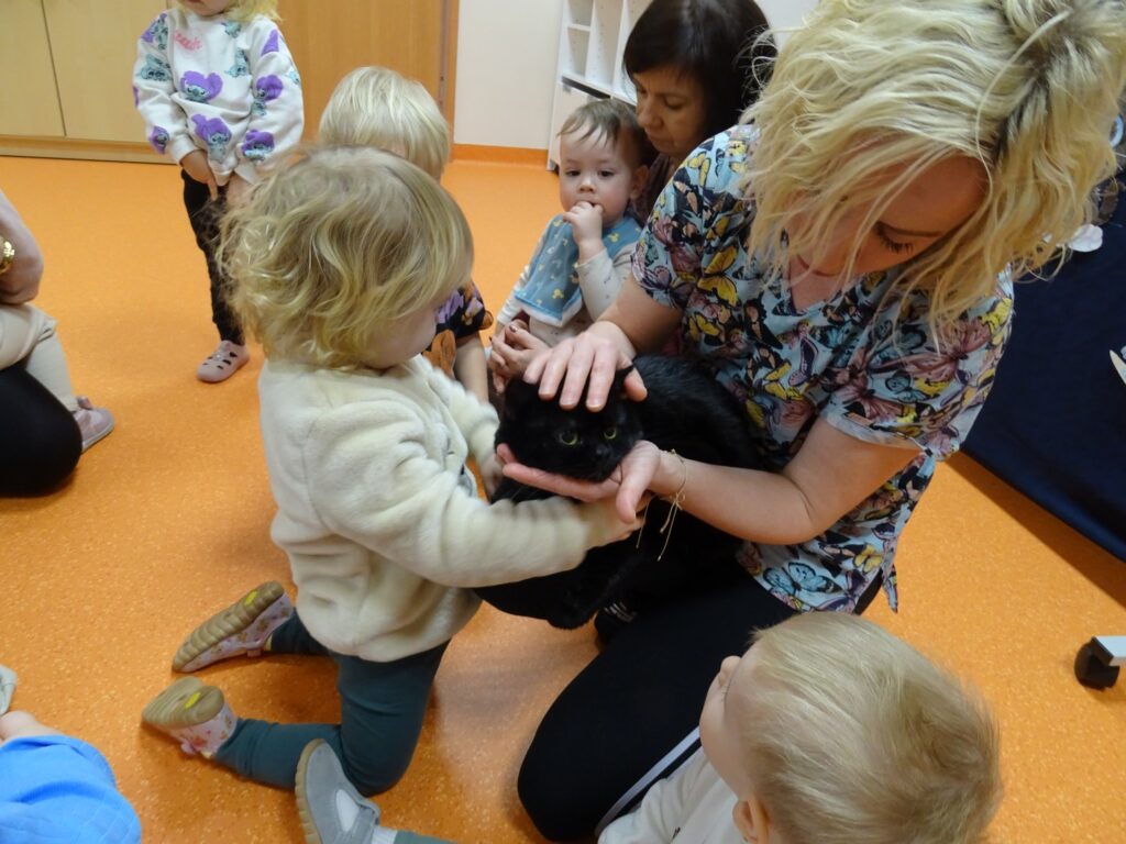 Dziewczynka trzyma kota