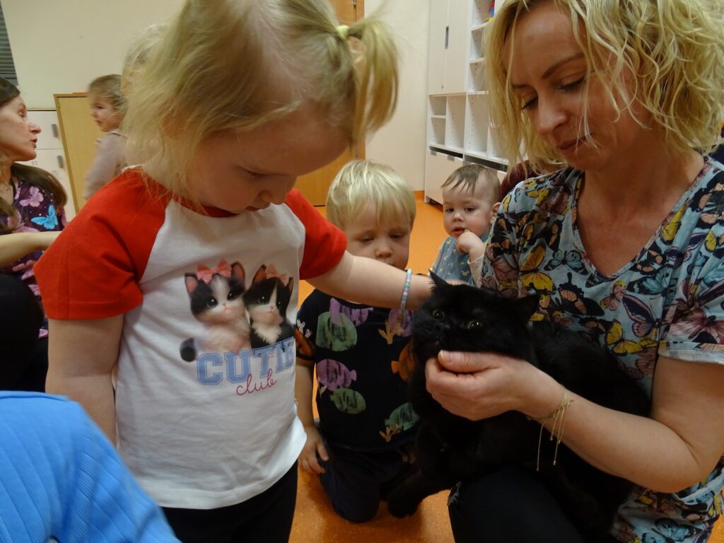 Dziewczynka dotyka kota