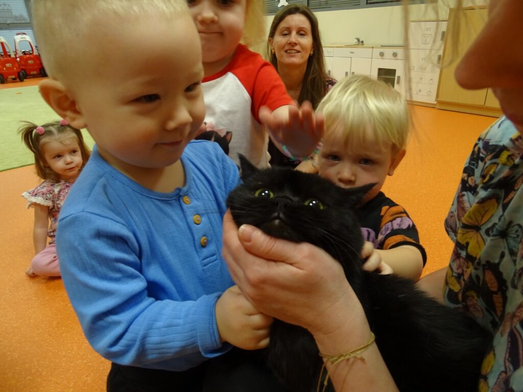 Chłopczyk uśmiech się do kotka