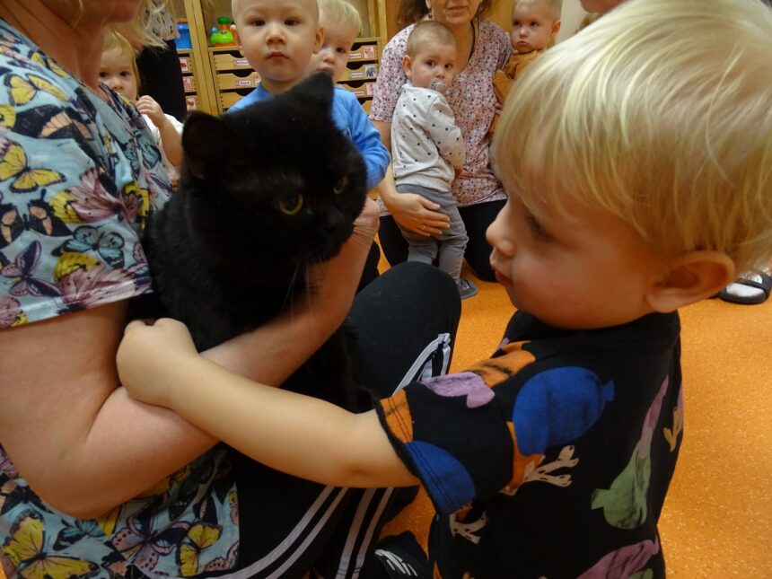 Chłopczyk patrzy na kota