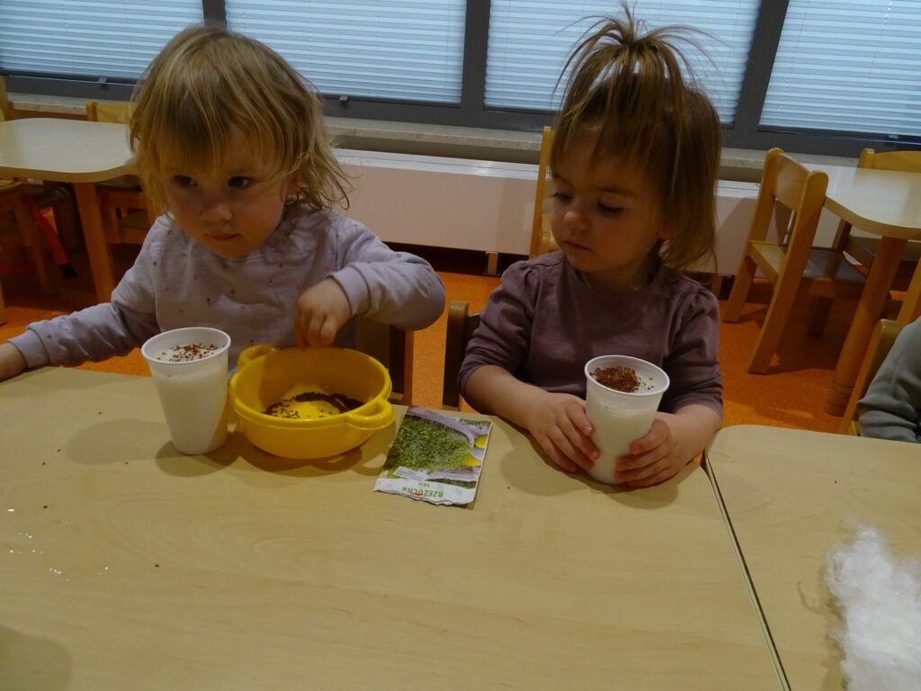 Dziewczynki sieją rzeżuchę