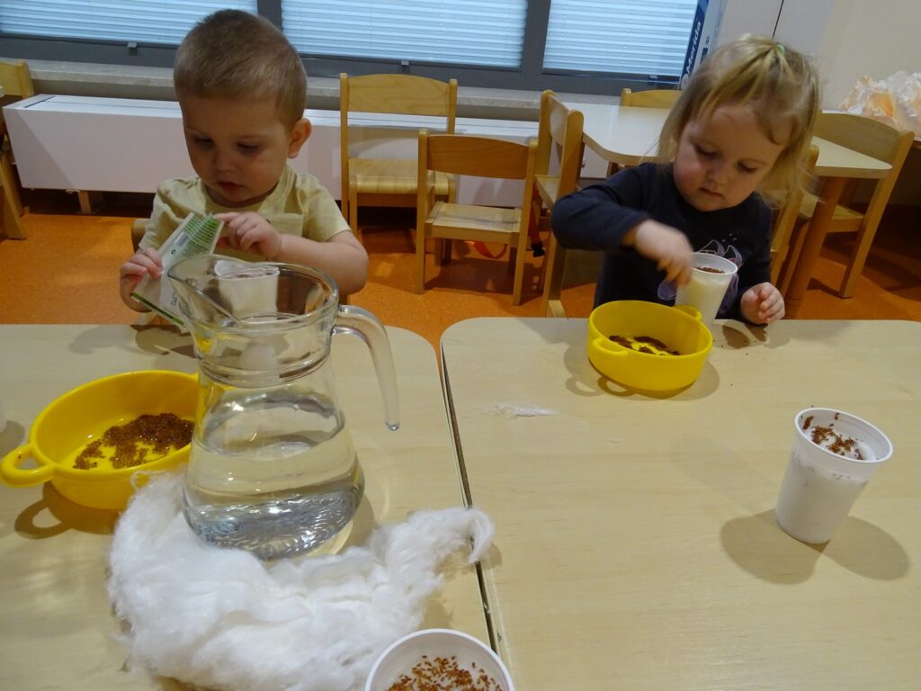 Praca z nasionami i watą